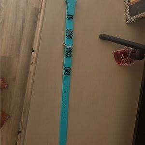 Teal Dog Collar with Black Paw Prints